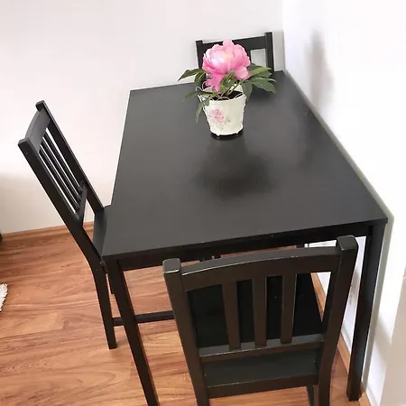 Exclusive Apartment Bukarest
